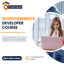 Woocommerce developer course (2) (1)