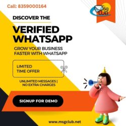 whatsapp business api 2