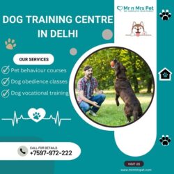 Dog Training Centre in Delhi