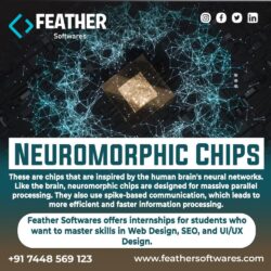 Neuromorphic chips (1)