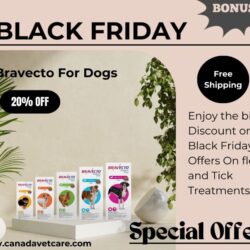 CVC Bravecto for Dogs Black Friday 20% Off...