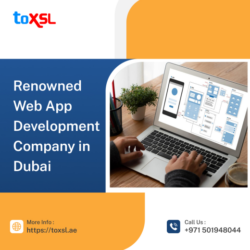 Web-app-development-company-in-dubai