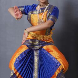 Rreadymade Bharatanatyam Costume