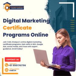 digital marketing certificate programs online (1)