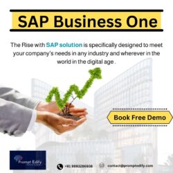 sap business one 4