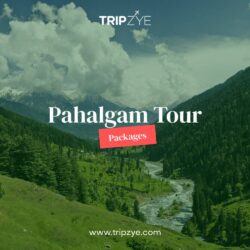pahalgam tour packages_1