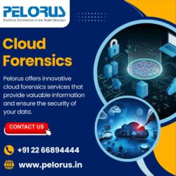 Cloud Forensics (1)