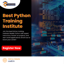 best Python training institute (1)