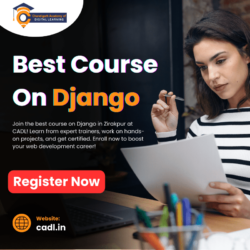 best course on Django (1)