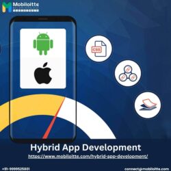 _Hybrid App Development