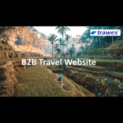 B2B Travel Website (1)