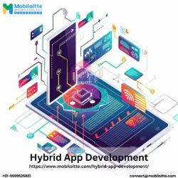 Hybrid App Development (1)