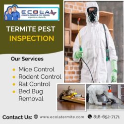 termite pest inspection