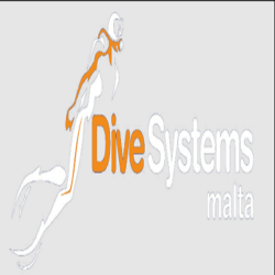 Dive_systems_malta_ logo pixeled