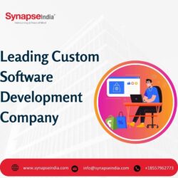 Leading Custom Software Development Company in 2024