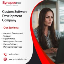 Custom Software Development Services