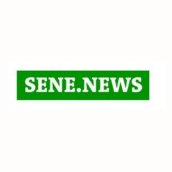 Senenews SUARL logo