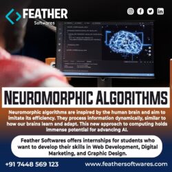 Neuromorphic algorithms