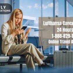 _Lufthansa Cancel Within 24 Hours