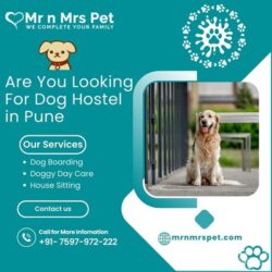 Dog Hostel in Pune