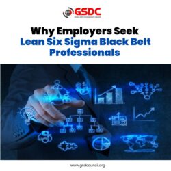 Why Employers Seek Lean Six Sigma Black Belt Professionals