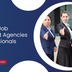 Exploring Job Placement Agencies for Professionals in USA