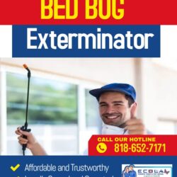 Bed Bug USA