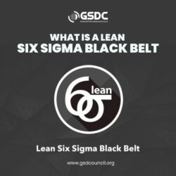 What is a Lean Six Sigma Black Belt