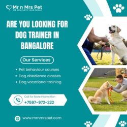 Dog Trainer in Bangalore