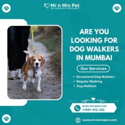 Dog Walkers in Mumbai