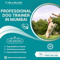 Dog Trainer in Mumbai