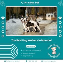 Dog Walkers in Mumbai