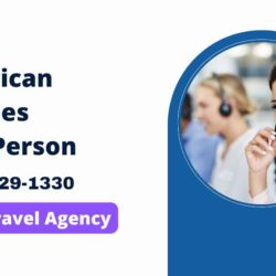 American Airlines Live Person