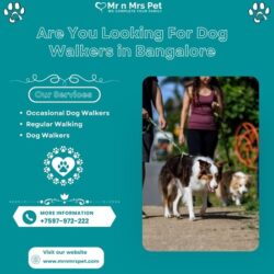 Dog Walkers in Bangalore