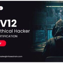 Ethical Hacker Certification Online Training