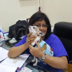 best pet clinic in Kolkata