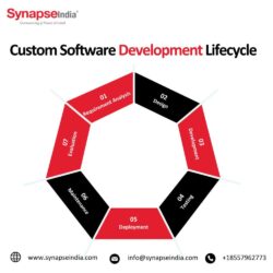 custom software development lifecycle