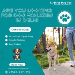 Dog Walkers in Delhi