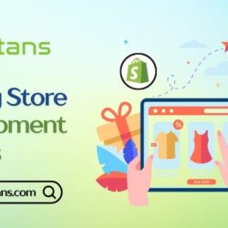 Shopify Store  Development  Experts