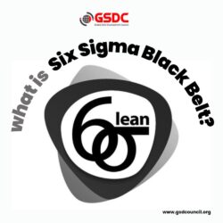 Lean Six Sigma Black Belt