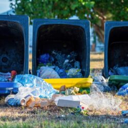 Dumpster Rental in Murrieta