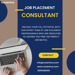 job consultant services