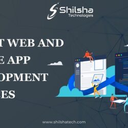 Web and Mobile App Development Services - Shilshatech