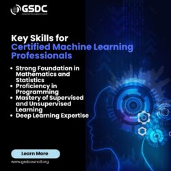 Key Skills for Certified Machine Learning Professional.