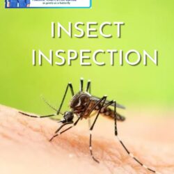 insect inspection USA