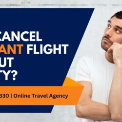 Can I Cancel Allegiant Flight Without Penalty (1)