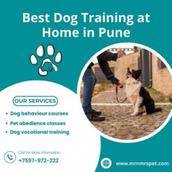 Dog Training in Pune