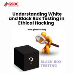 Understanding White and Black Box Testing in Ethical Hacking