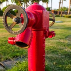 close-up-red-fire-hydrant-desert-sand-sea-beach-palm-trees-high-quality-photo