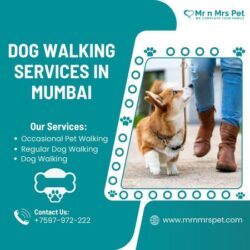 Dog Walking Services in Mumbai